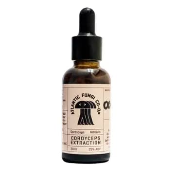 Cordyceps - Triple Extract