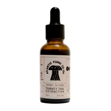 Turkey Tail - Triple Extract